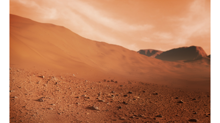 Martian Reports