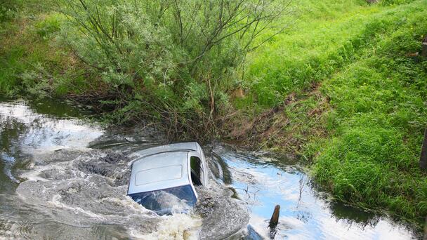 Woman's Car Rolls Into Lake As She Protests ICE Arrest