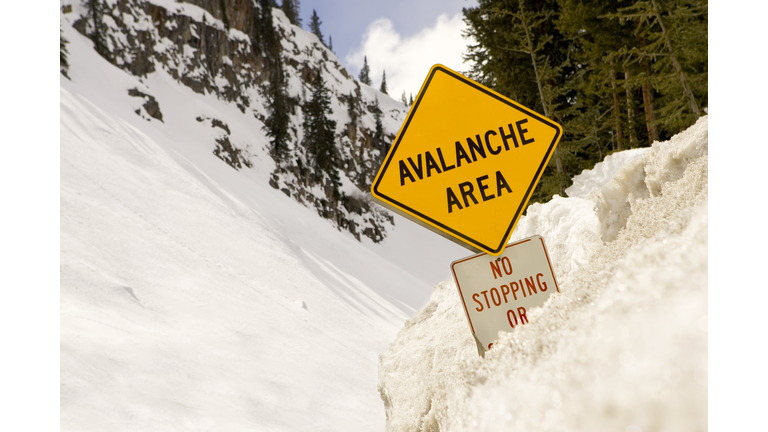 Avalanche area sign covered in snow
