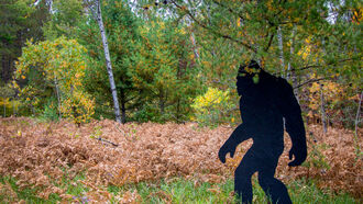 'Bigfoot' Press Conference Update