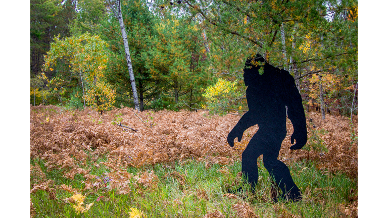 Bigfoot & The Beast of Boggy Creek