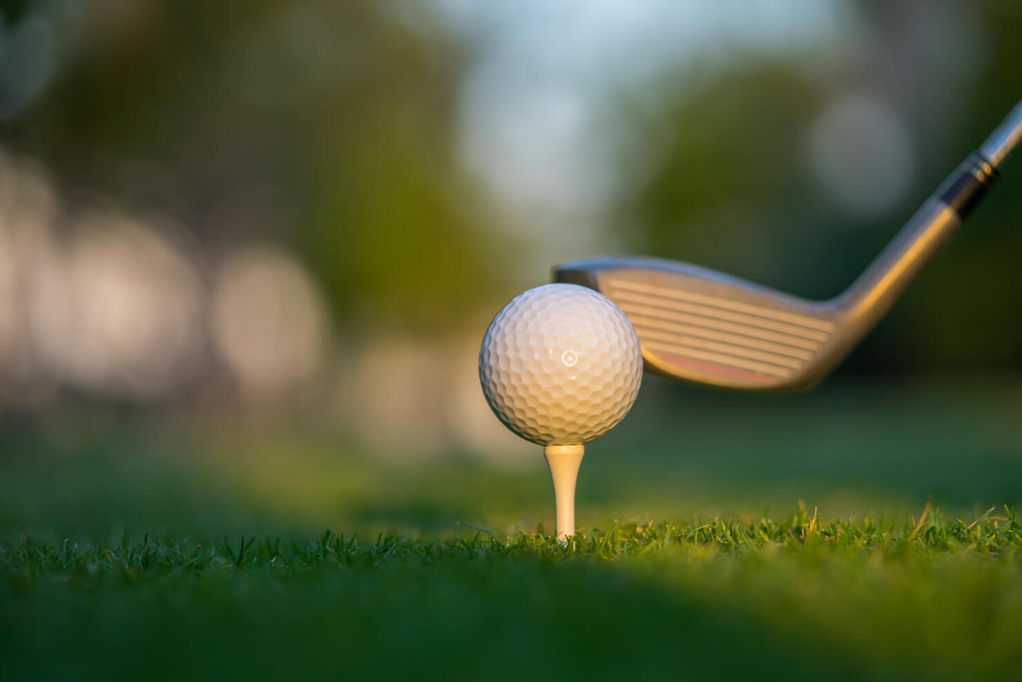 Golf ball on green grass ready to be struck on golf course background