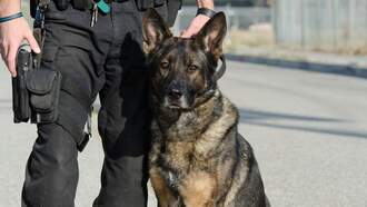 How Finnigan’s Cove is Raising Funds to Protect K-9 Officer Ares