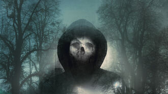 Strange Occurrences / Elongated Skulls