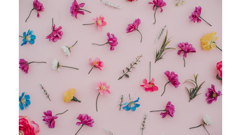 spring flowers background in pink.Flat lay