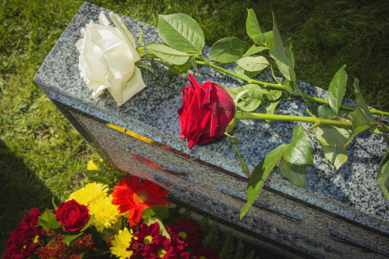 White And Red Rose On Tombstone