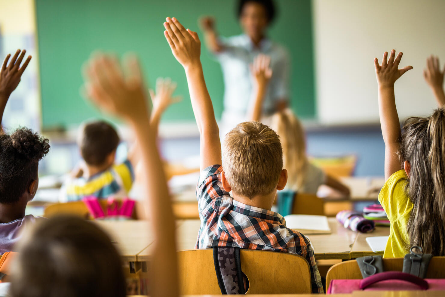 Back view of elementary students raising their hands on a class.