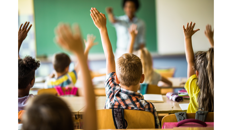 Back view of elementary students raising their hands on a class.