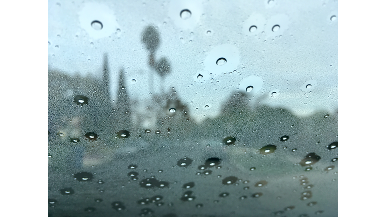 Los Angeles Street with Palm Trees Through Rain Drop Splattered Windshield