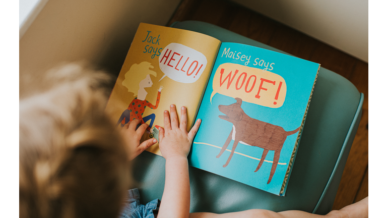 Little Girl reading a Book