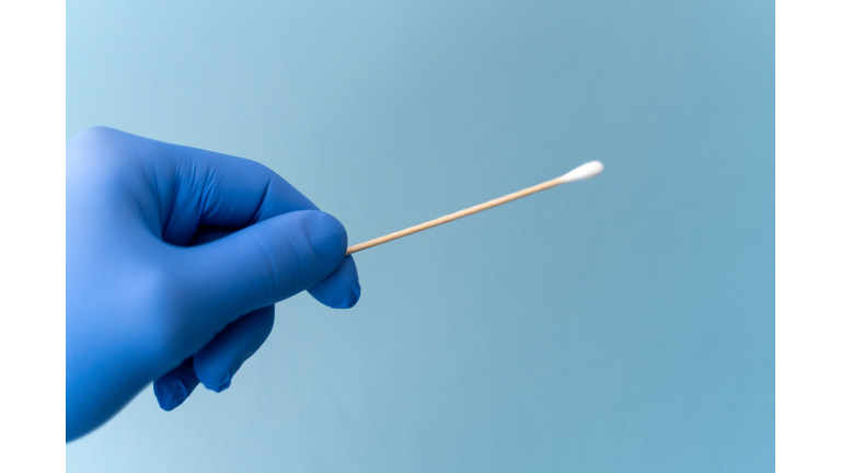 Cotton swab held by hand wearing blue medical glove