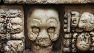 Ancient Humans & Origins