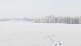 Police Catch Burglar By Following His Footprints In The Snow