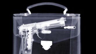 'Freedomnomics' & Gun Laws