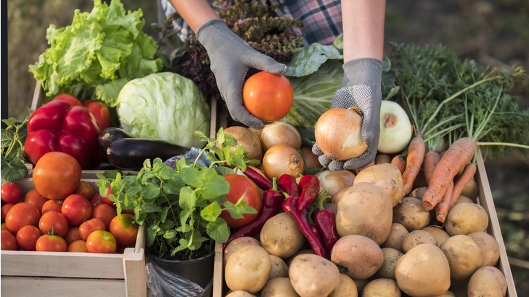 Farmer holds onions and tomatoes over the counter - sells fresh vegetables