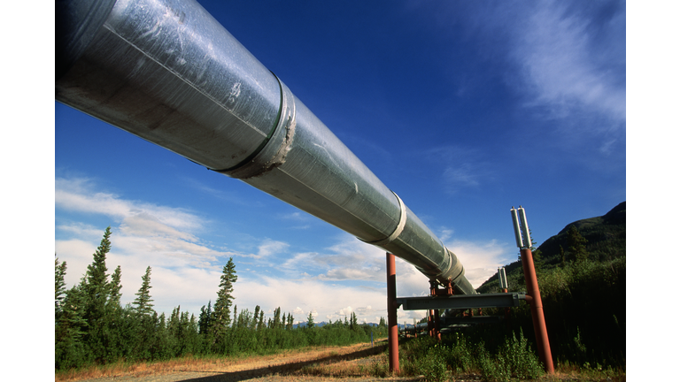 Alaska Oil Pipeline Near Richardson Highway