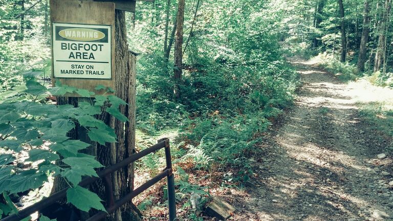 Warning Bigfoot Area Stay on Marked Trails Sign on Tree