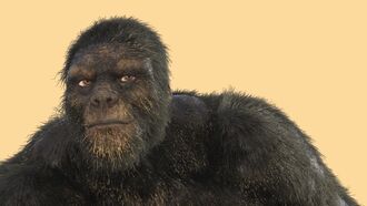 Killing Bigfoot / Open Lines