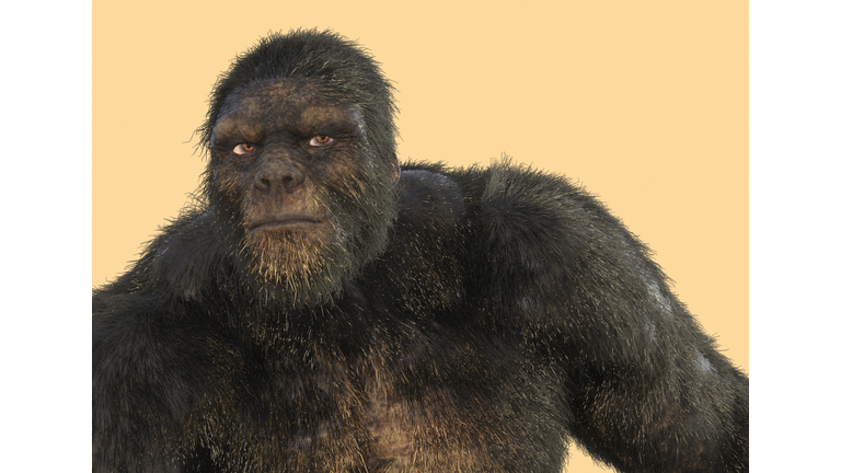 Killing Bigfoot / Open Lines