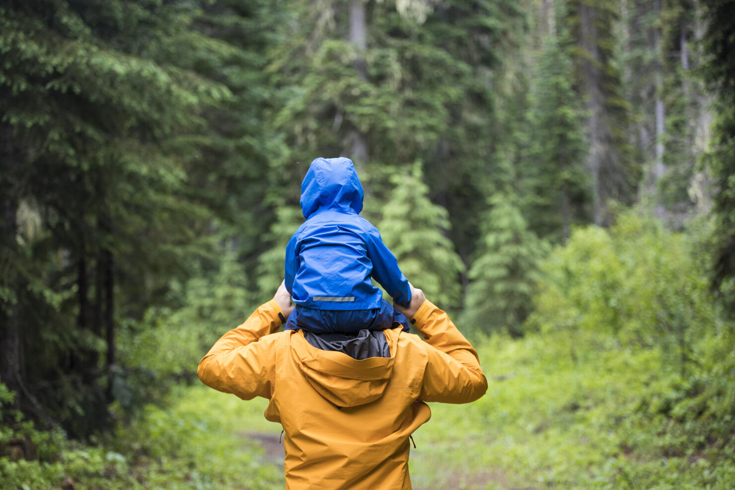 Rear view of Father carrying son on shoulders during a hike.