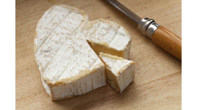 Traditional French neuchatel cheese