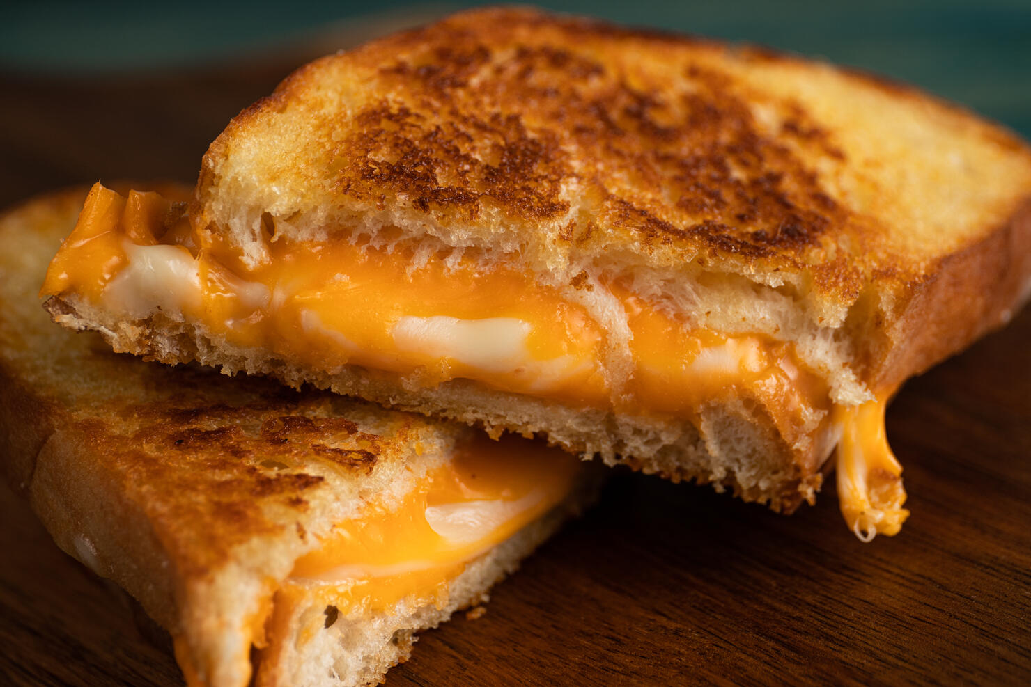 Grilled cheese sandwich close up