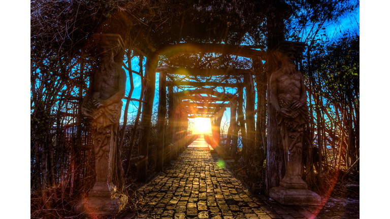 Music & Mu / John Mack