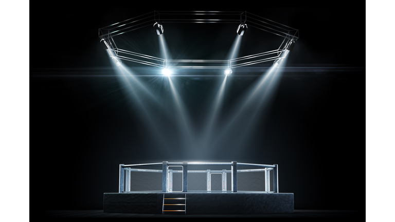 Isolated MMA cage night. Fighting Championship. Fight night. View of the arena. 3D rendering