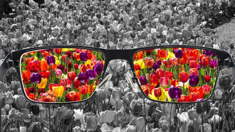 Alternative Health Special