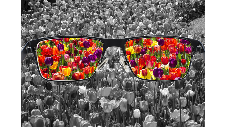 Alternative Health Special