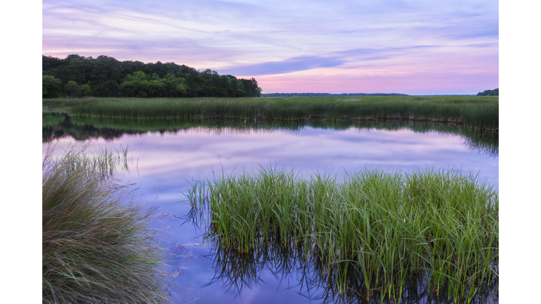 Reflective South Carolina Lowcountry Marsh Scene Sunset ACE Basin