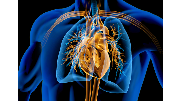 'Heart and Soul' Open Lines