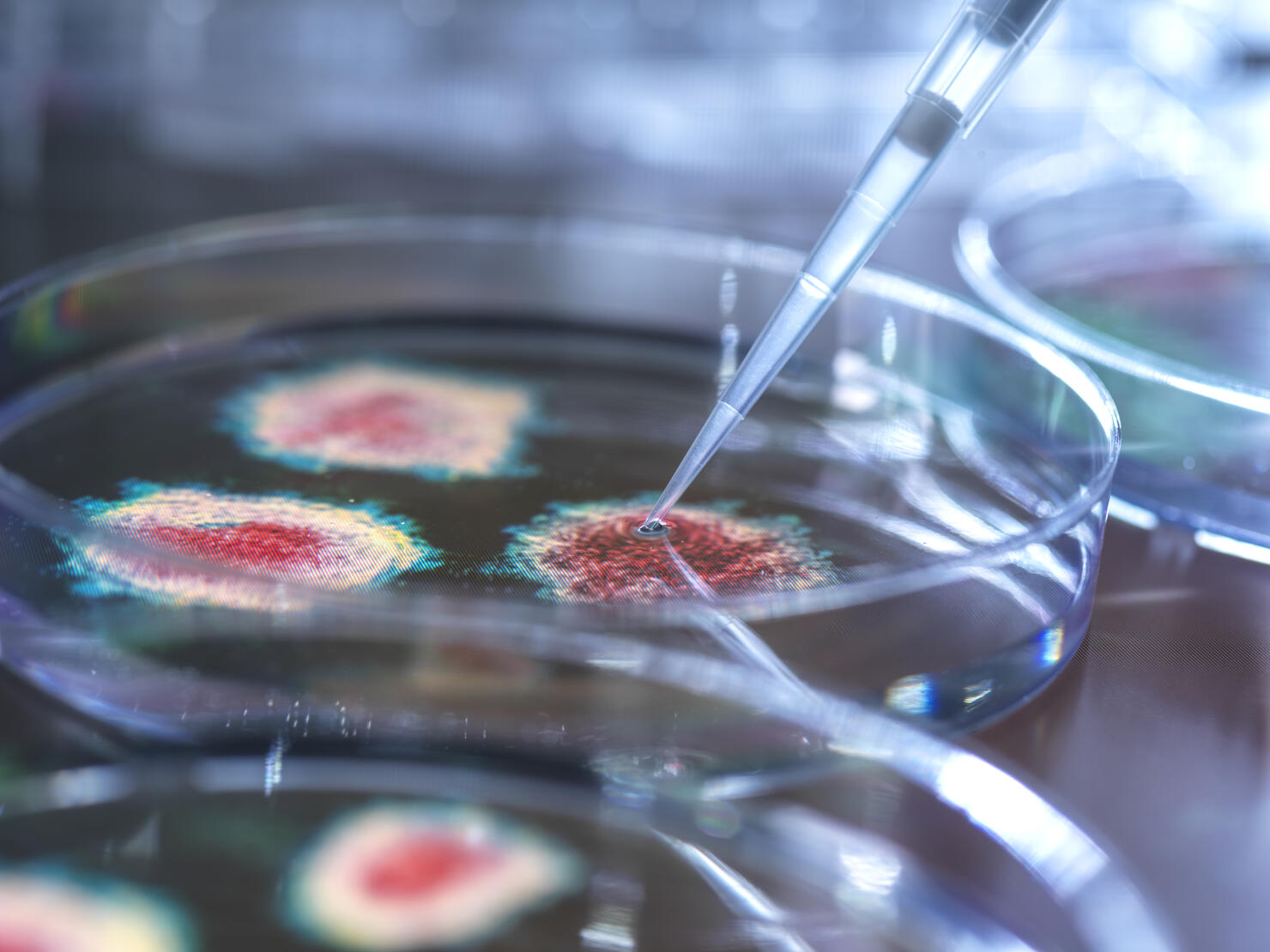 Virus research