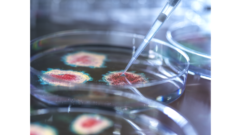 Monkey Virus Conspiracy