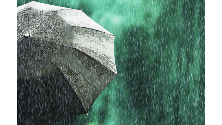 Open black umbrella in wet weather. Autumn rain. Deep sorrow. Wet umbrella against backdrop of street. Sad mood. Raining in city. Heavy rain on summer green background. Feel sorrow and sadness