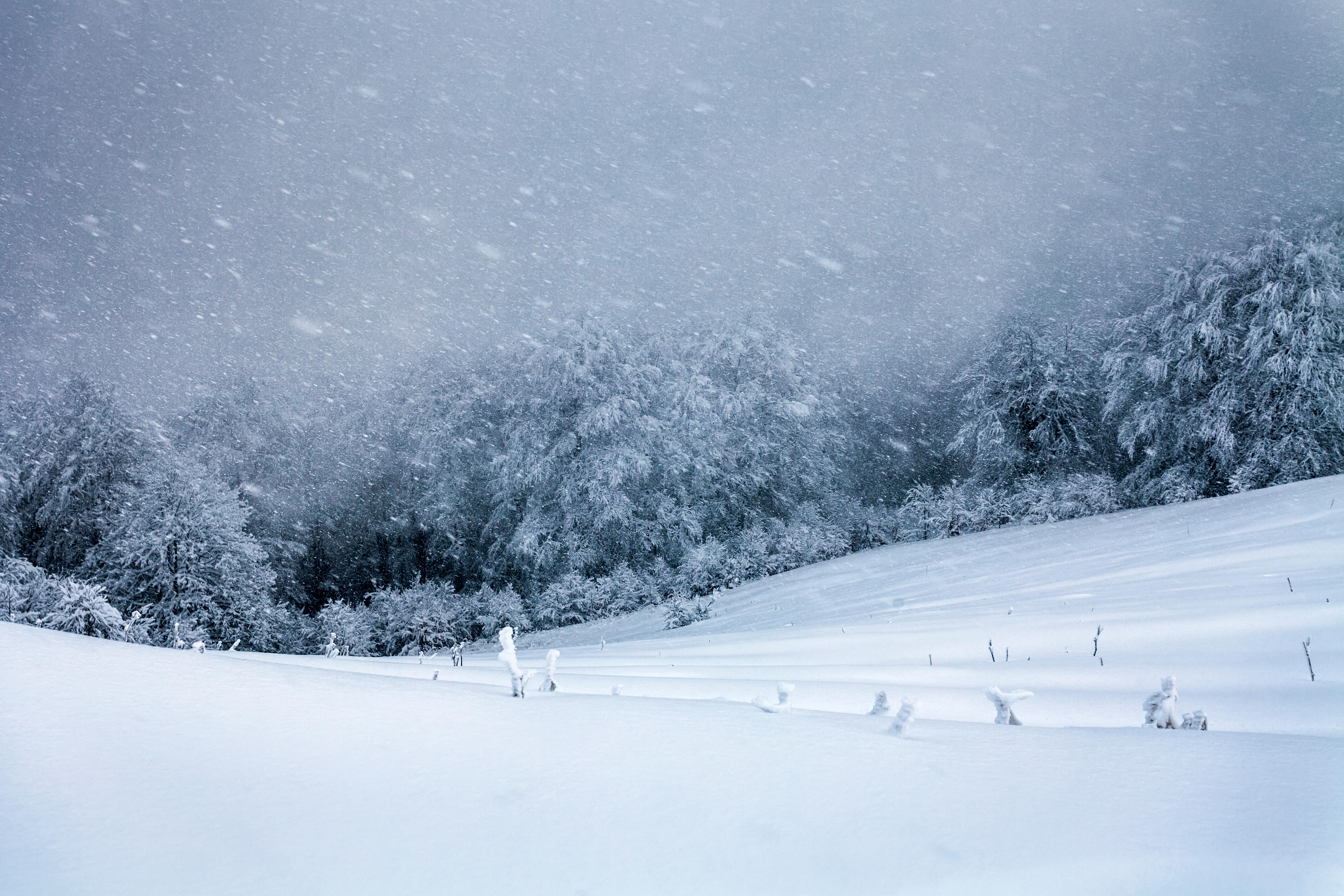 Snows a lot in winter. Метель. Снежная метель. Зимняя вьюга. Зима метель.