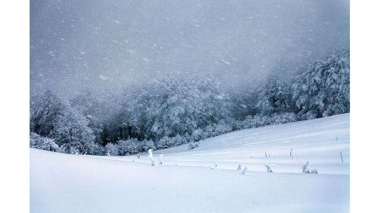 Snow blizzard in the mountain