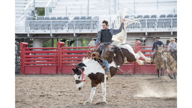 Cowboy rodeo riding bucking bronco horse in western USA