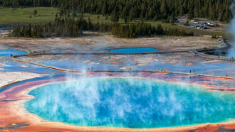 Yellowstone, Animal Oddities, & Mummies