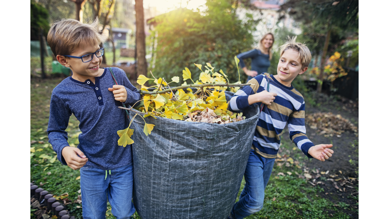 Little boys collecting autumn leaves for composting