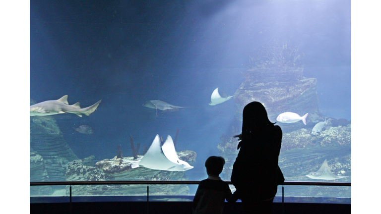 Mother and son at aquarium
