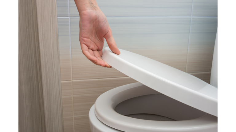 The hand closes or opens the toilet lid