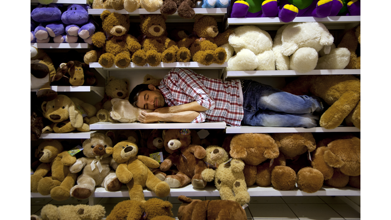 Man sleeping on a shelf between soft toys in a supermarket