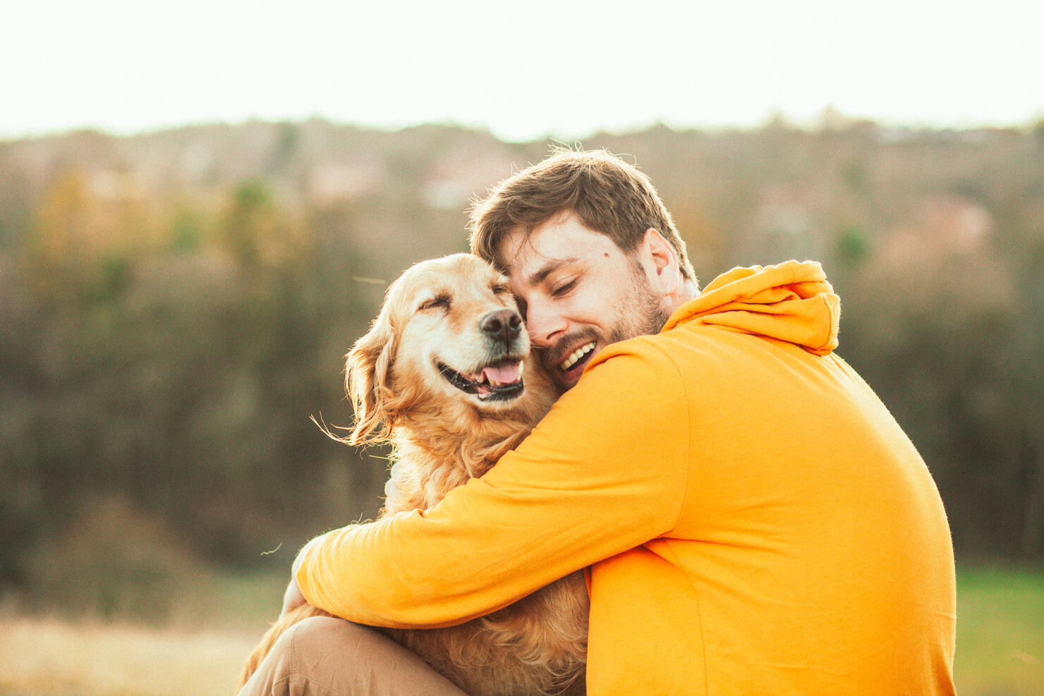 This Is The Most Popular Dog Breed In Illinois iHeart