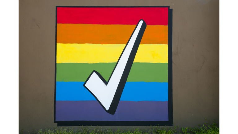 Gay Marriage Equality Vote