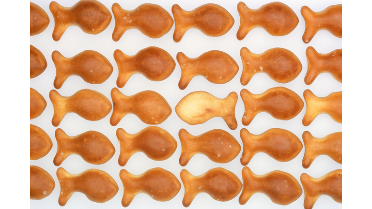 Salty Goldfish Crackers