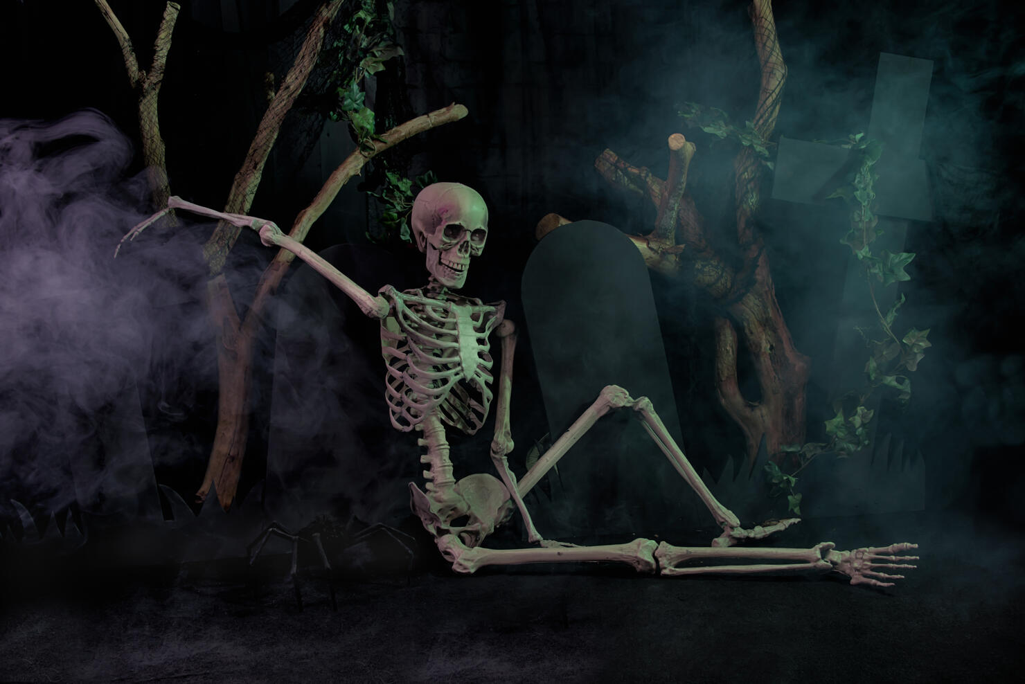 Skeleton resting