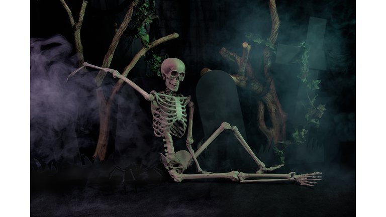 Skeleton resting