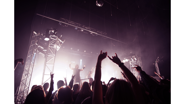 Happy audience enjoying rock music concert