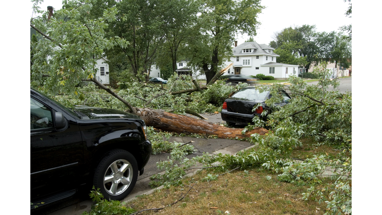 Storm Damage